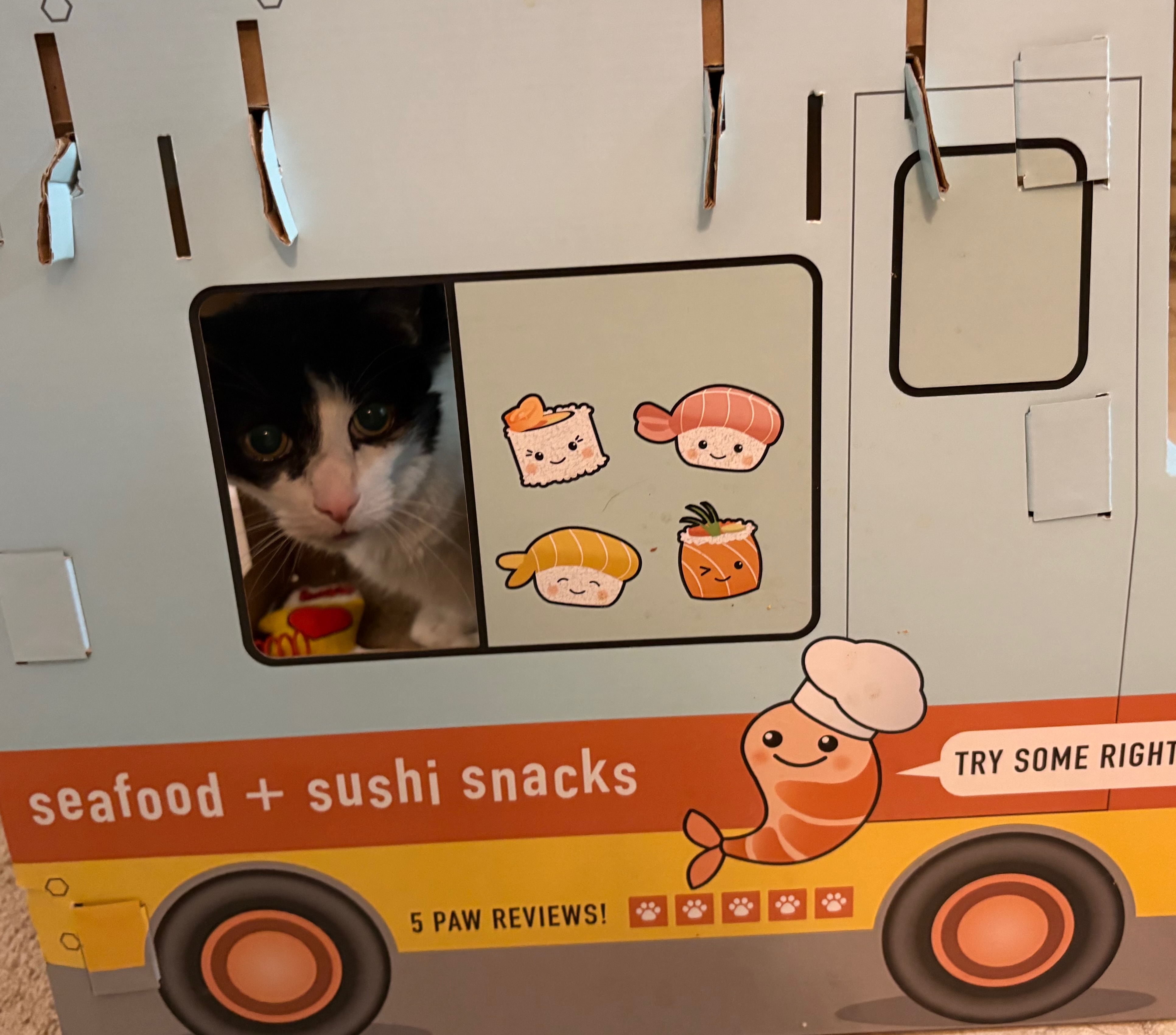 Kat Kitchen